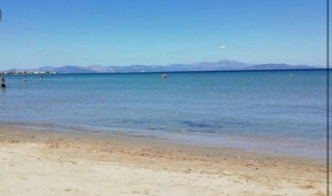 Sunmer Apartment 1Minute From Sea, 15 Min From The Airport Artemis City Center Dış mekan fotoğraf
